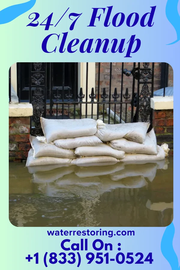 24/7 Flood Cleanup in Parksley, VA