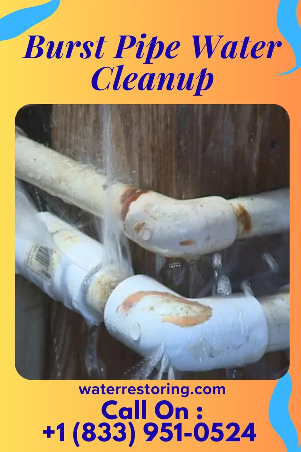 Burst Pipe Water Cleanup in Parksley, VA
