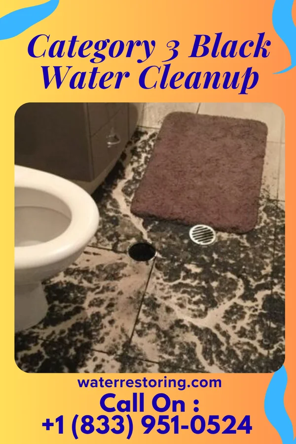 Category 3 Black Water Cleanup in Parksley, VA