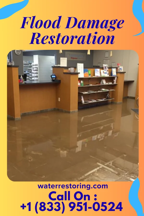 Flood Damage Restoration in Parksley, VA