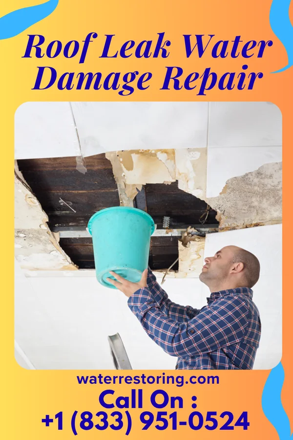 Roof Leak Water Damage Repair in Parksley, VA