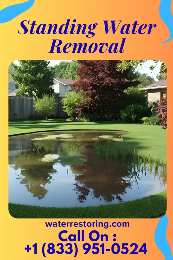 Standing Water Removal in Parksley, VA
